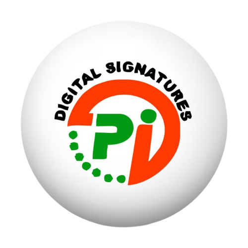 pandey infotech logo